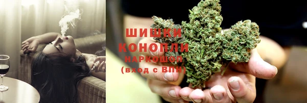 PSILOCYBIN Бородино