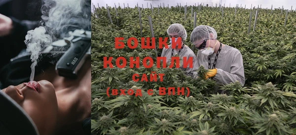 прущая мука Богородицк