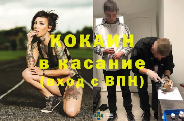 крисы Бронницы