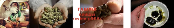 крисы Бронницы