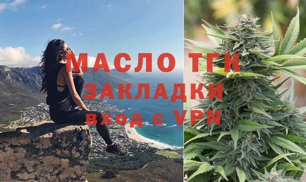 крисы Бронницы